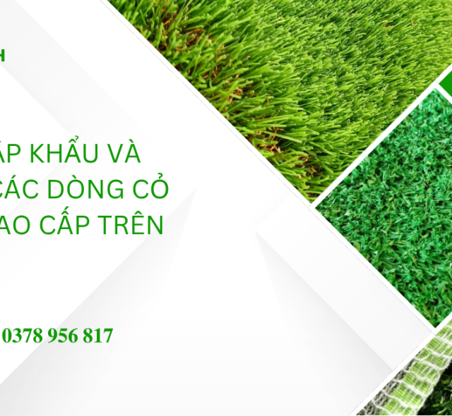 CÔNG TY TNHH THƯƠNG MẠI QUỐC TẾ  HOA THÀNH