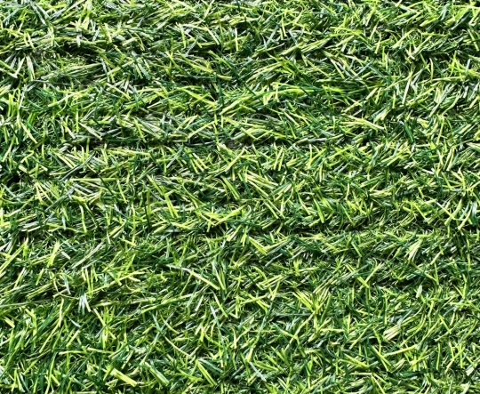 Mẫu 2cm _ 10,5 Mũi Đế Đen